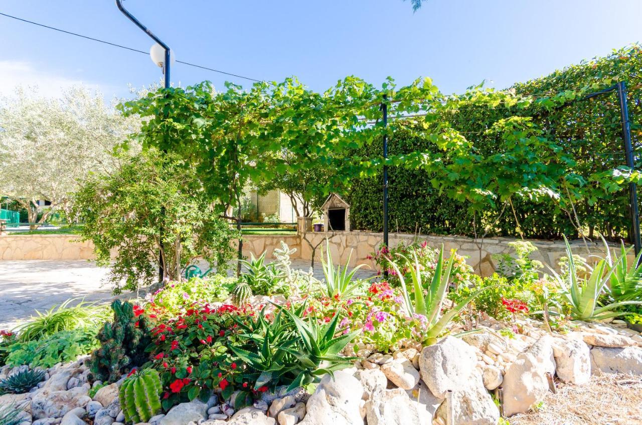 Apartment Dragutin Medulin