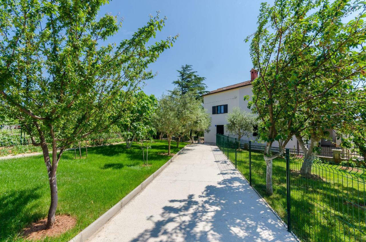 Dragutin Apartment Medulin
