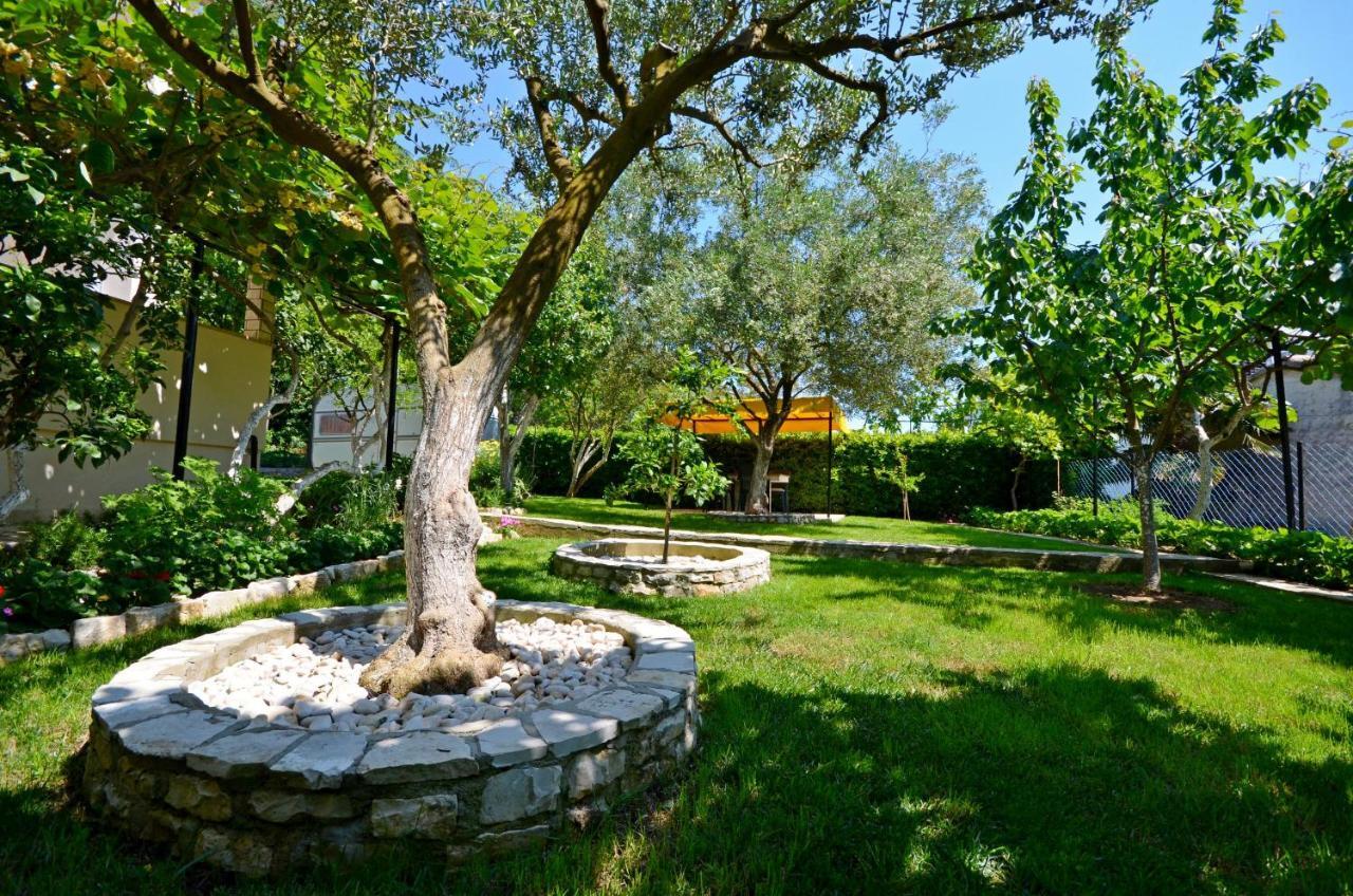 Dragutin Apartment